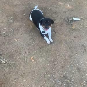 Meet your Posher, Canne